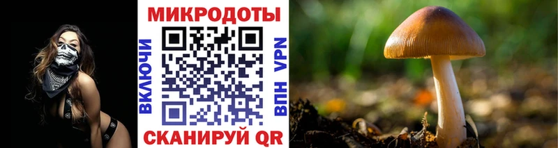 хочу наркоту  Шахунья  Галлюциногенные грибы Cubensis 